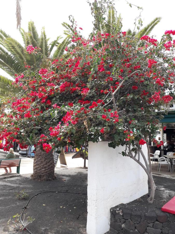 Sunny self-catering apartment Costa Teguise, Lanzarote, Spain Esterno foto